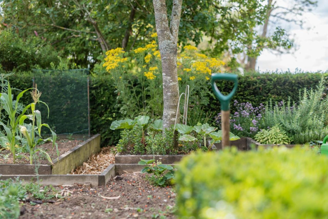 The Figgy By Bloom Stays Ashford  Exteriör bild