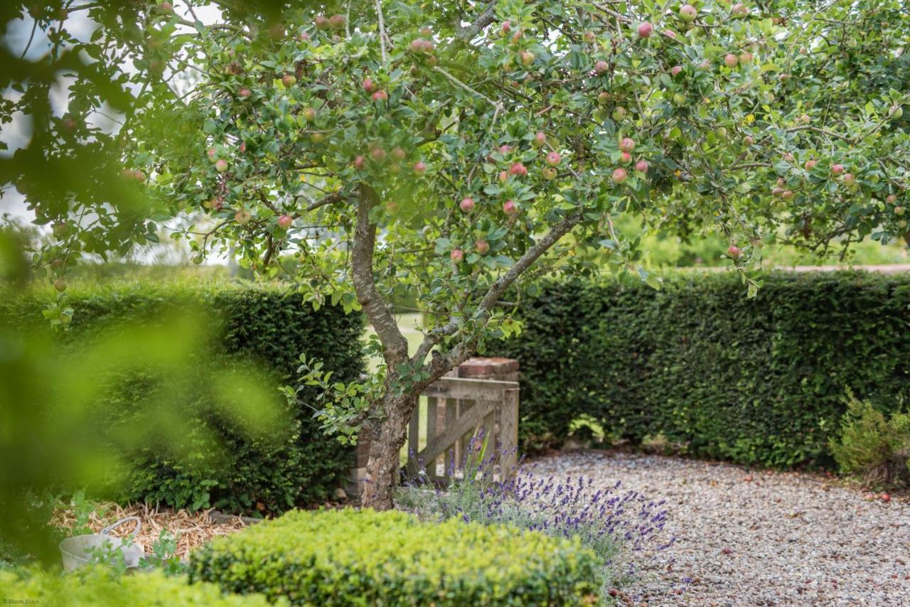 The Figgy By Bloom Stays Ashford  Exteriör bild